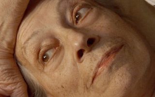 les vies de therese doclisboa