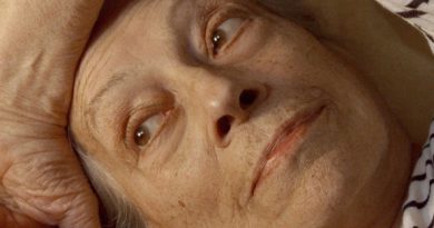 les vies de therese doclisboa