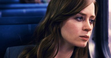 a rapariga no comboio