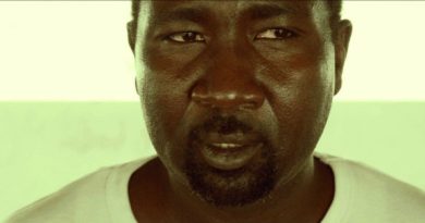 between fences doclisboa