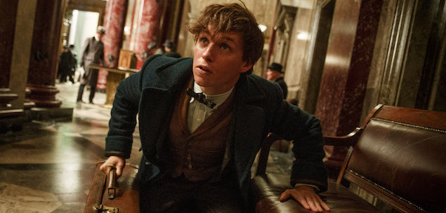 Monstros Fantasticos Newt Scamander