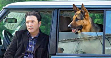 Inspector Max detalhes terceira temporada