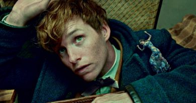 monstros fantásticos e onde encontrá-los fantastic beasts colleen atwood