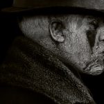 taboo estreia tom hardy portugal nova serie
