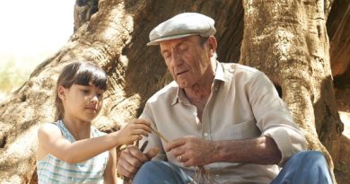 a-oliveira-do-meu-avo