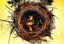 Cursed Child