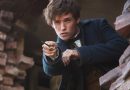 Monstros Fantasticos Newt Scamander