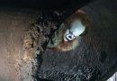 IT
