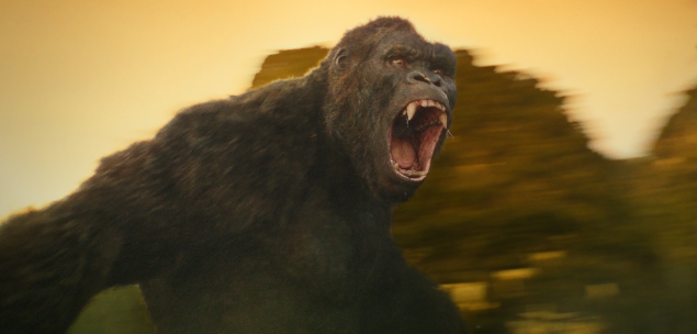 kong
