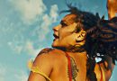 american honey