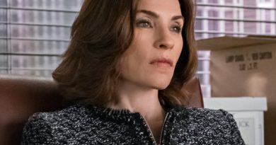 the good wife