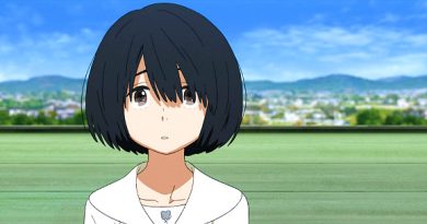 the anthem of the heart