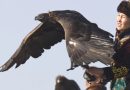 a caçadora e a águia the eagle huntress