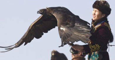 a caçadora e a águia the eagle huntress