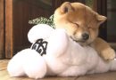 JAPANESE STYLE ORIGINATOR japão na netflix