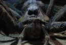 Aragog