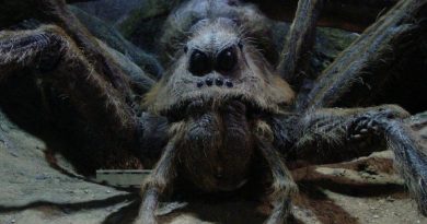 Aragog
