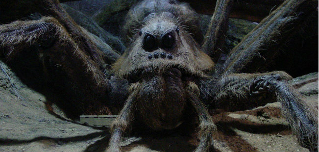 Aragog