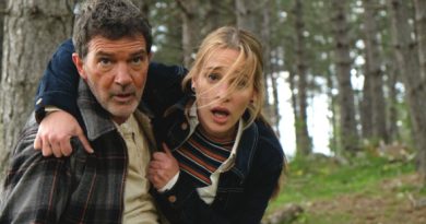 borboleta negra black butterfly