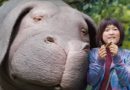 Okja
