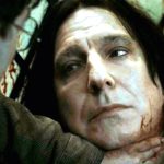 Harry Potter, J.K. Rowling, Harry Potter and The Deadly Hallows, Harry Potter e os Talismãs da Morte, Severus Snape
