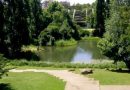 jardim de verão