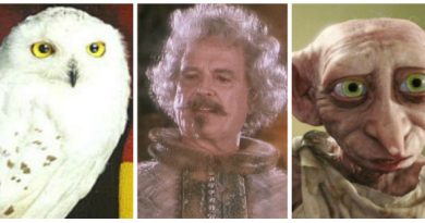 criaturas harry potter