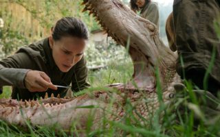 Annihilation