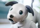Aibo
