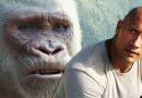 Dwayne Johnson Rampage