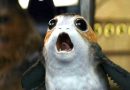 Porg Chewbacca