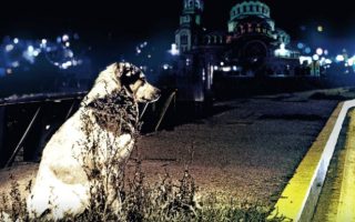 Táxi Sófia