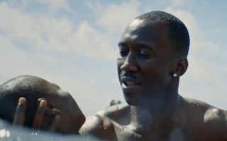 Moonlight, Luca Guadagnino, Call Me By Your Name