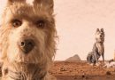 ilha dos cães