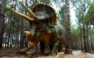 Dino Parque