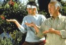 Karate Kid 1984