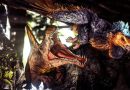 ARK Survival Evolved