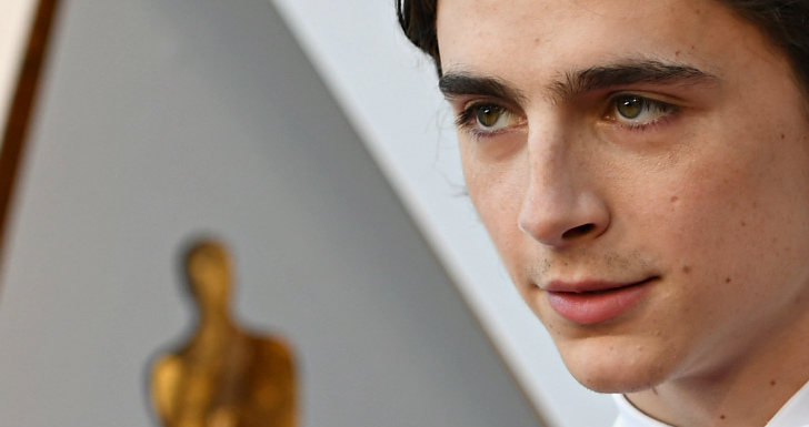 Beautiful Boy Chalamet