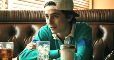 timothée chalamet Hot Summer Nights