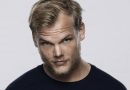 avicii dj sueco