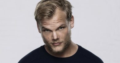 avicii dj sueco