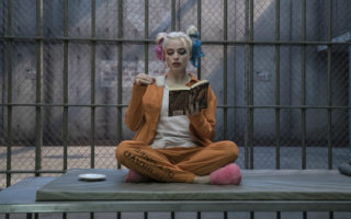 harley quinn margot robbie cathy yan