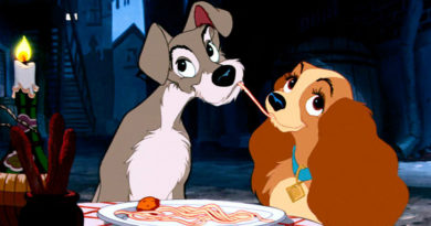 a dama e o vagabundo