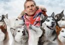 filmes com cães