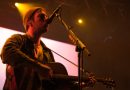 Fleet foxes