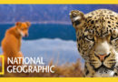 National Geographic