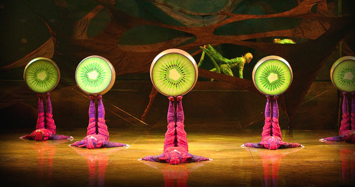 "OVO", Cirque du Soleil