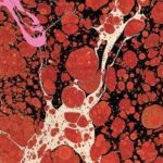 Iceage - Beyondless