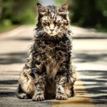Pet Sematary