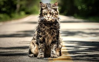 Pet Sematary
